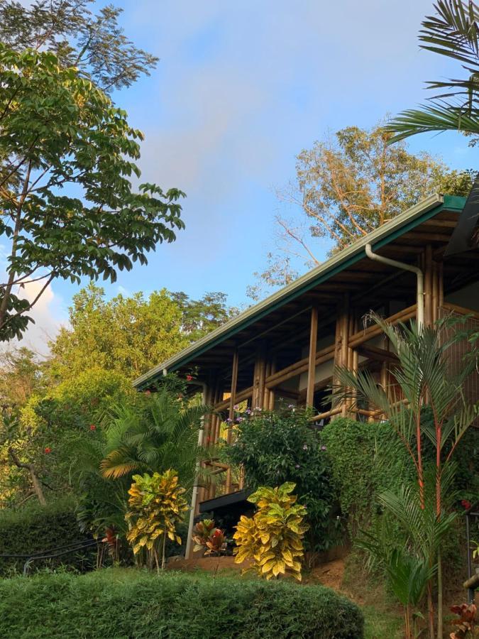 Bambura Hermosa Villas 乌维塔 外观 照片