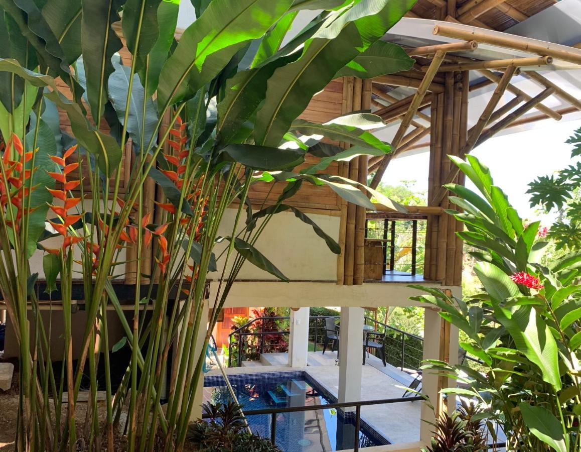 Bambura Hermosa Villas 乌维塔 外观 照片