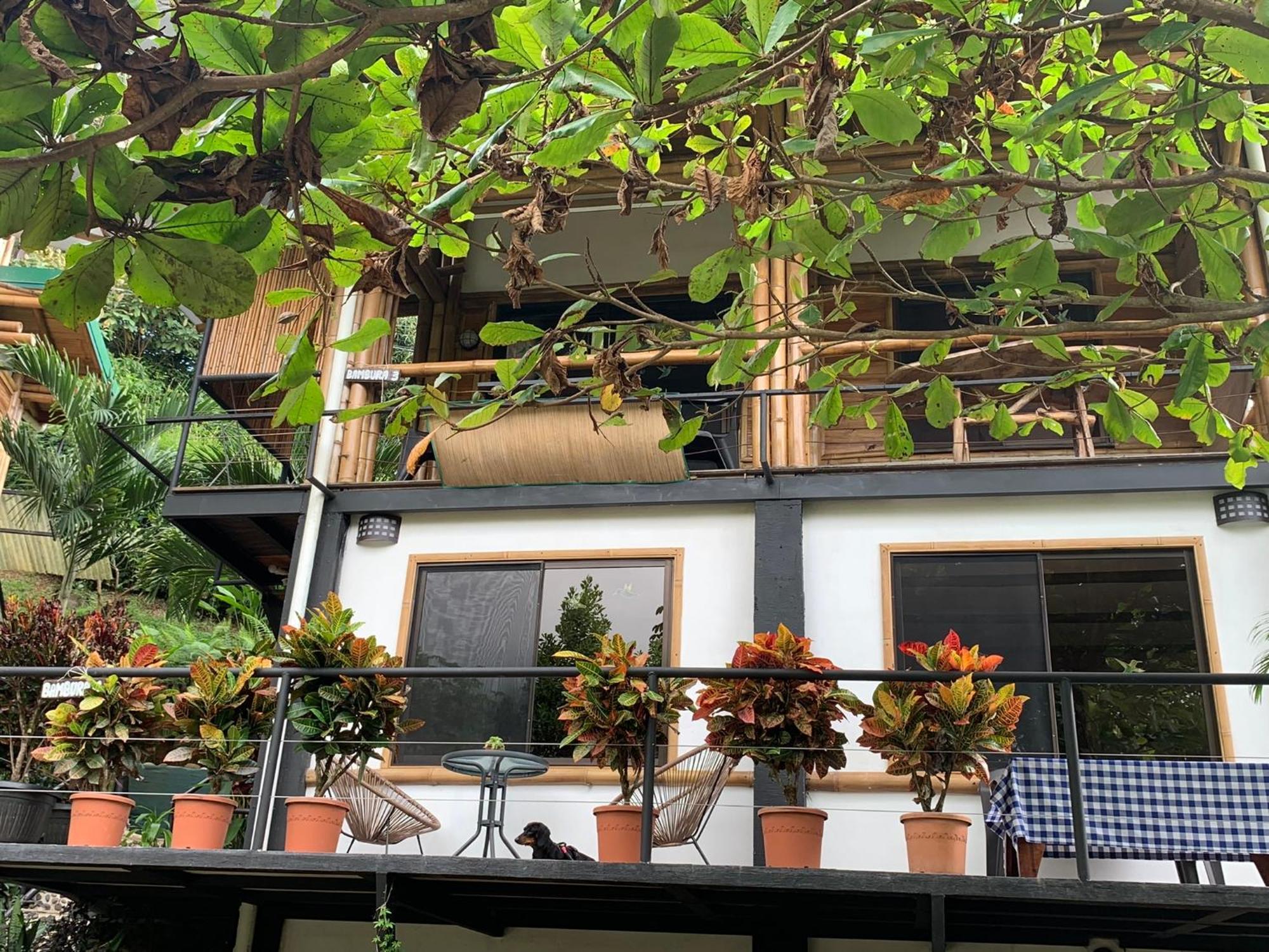 Bambura Hermosa Villas 乌维塔 外观 照片